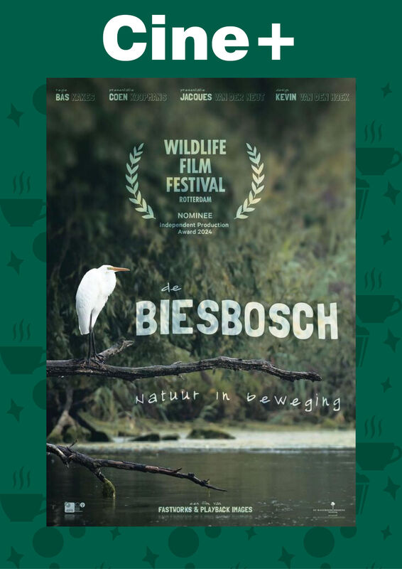 Cine+ De Biesbosch Natuur in beweging